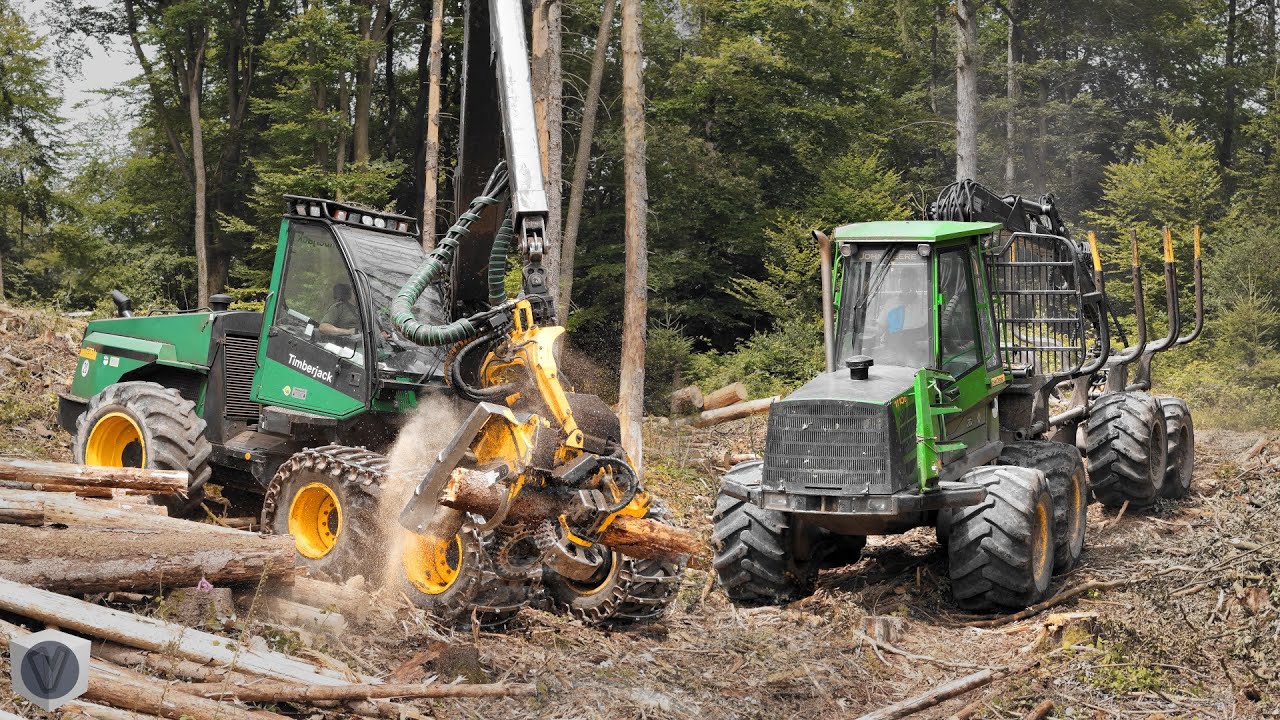 🌲 Holzernte mit TIMBERJACK und JOHN DEERE Power! | Forstbetrieb Katzschmann [4K]