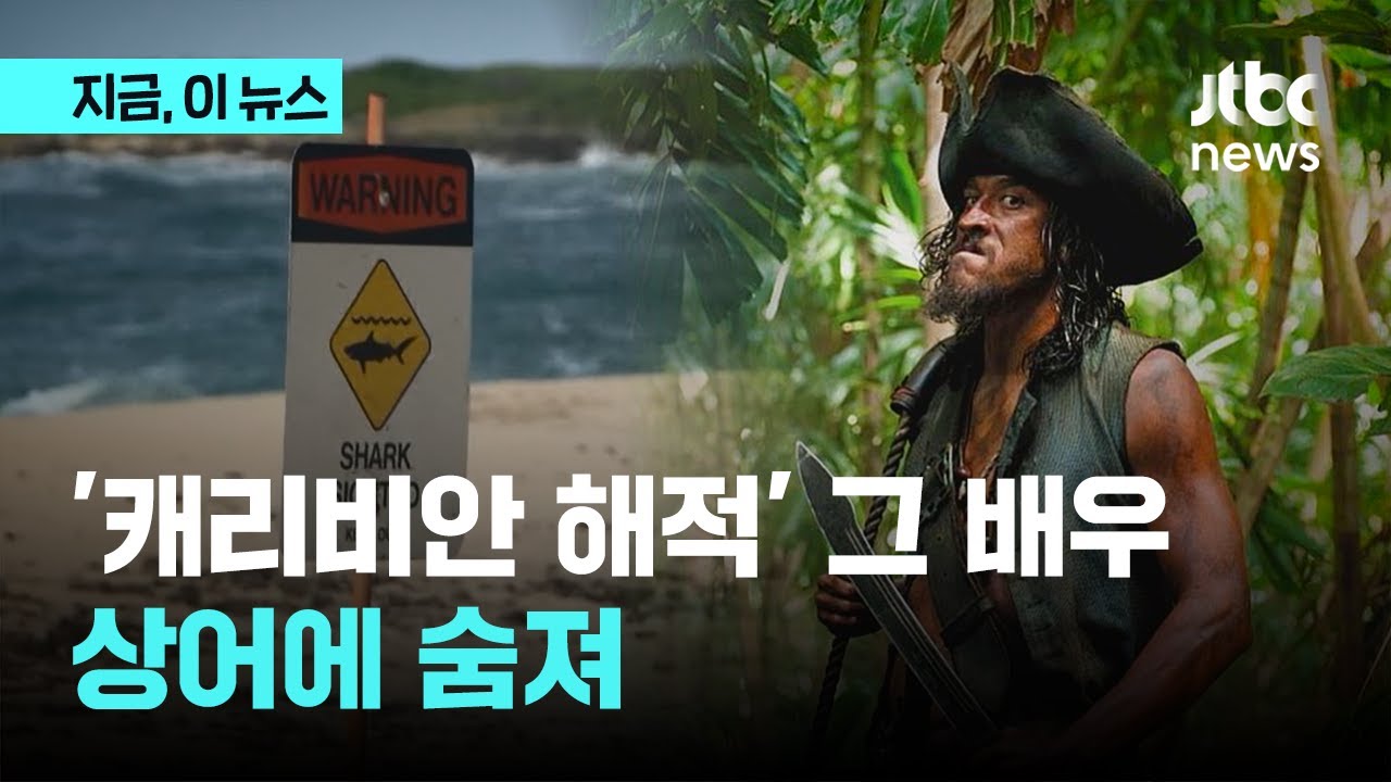 하와이 상어 공격에 '캐리비안 해적' 출연 배우 숨져｜지금 이 뉴스