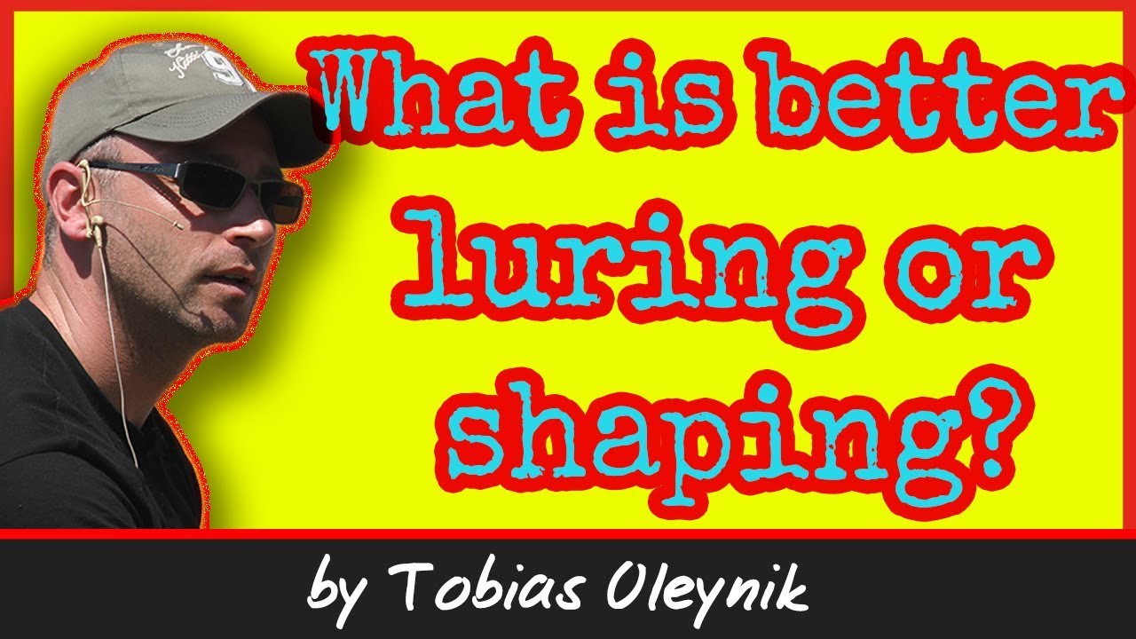 What is better - luring or shaping -  by Tobias Oleynik