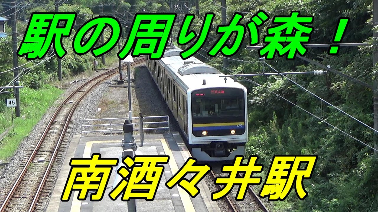 【秘境駅探訪】総武本線「南酒々井」駅は周りが森！