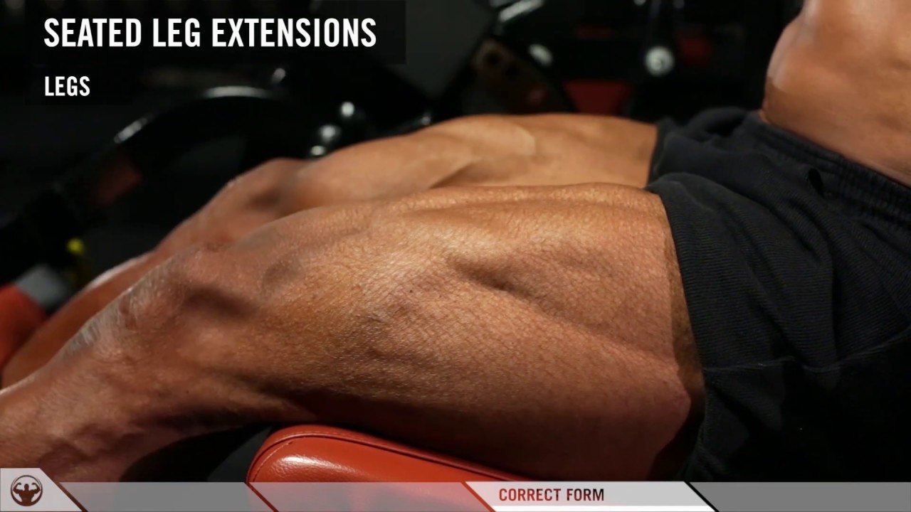 EXTREME CAUTION: SHAPING THE THIGH WITH LEG EXTENSIONS