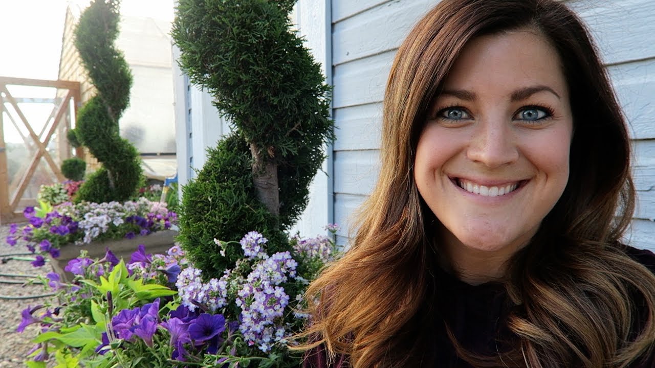 New Boxwoods & Planting Projects // Garden Answer
