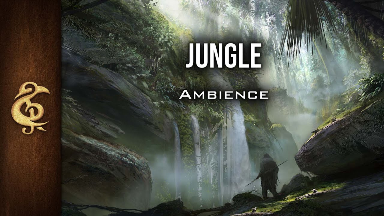 Jungle | Nature Ambience | 1 Hour 