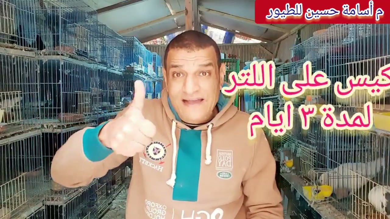الاسهالات الغريبة والمجنونة في الحمام و بقية الطيور  م اسامة حسين