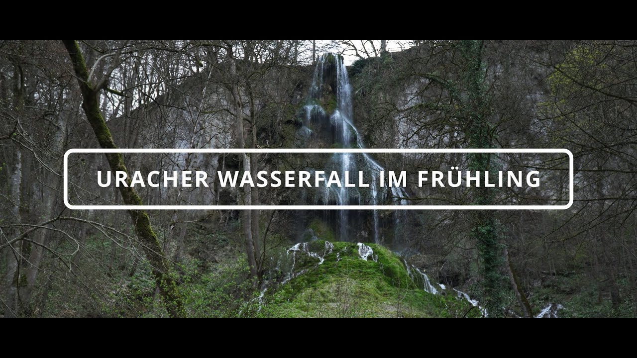 Uracher Wasserfall im Frühling