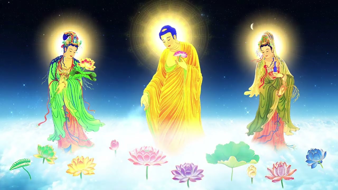 Bài Giảng Ngày Tu Chủ Nhật An Lạc 18-1-2026: Câu Chuyện Hộ Niệm Phật Tử Lê Thị Toàn