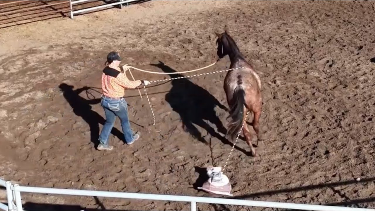 Буксир качает флаг и сумку