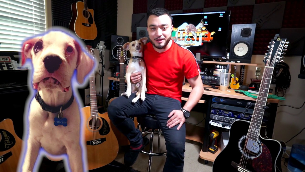 Guitarra Segovia unboxing & review