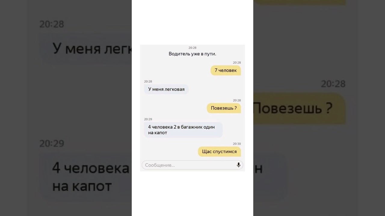 #юмор #taxihumor #cat  #таксиприключения #funnytaxi #такси  #taxistories