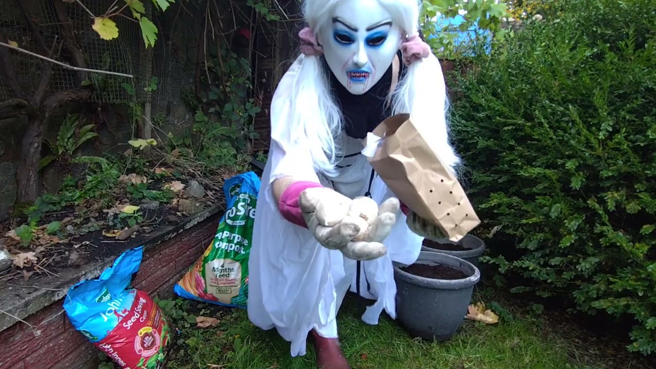 Vampire Lady Plants Garlic