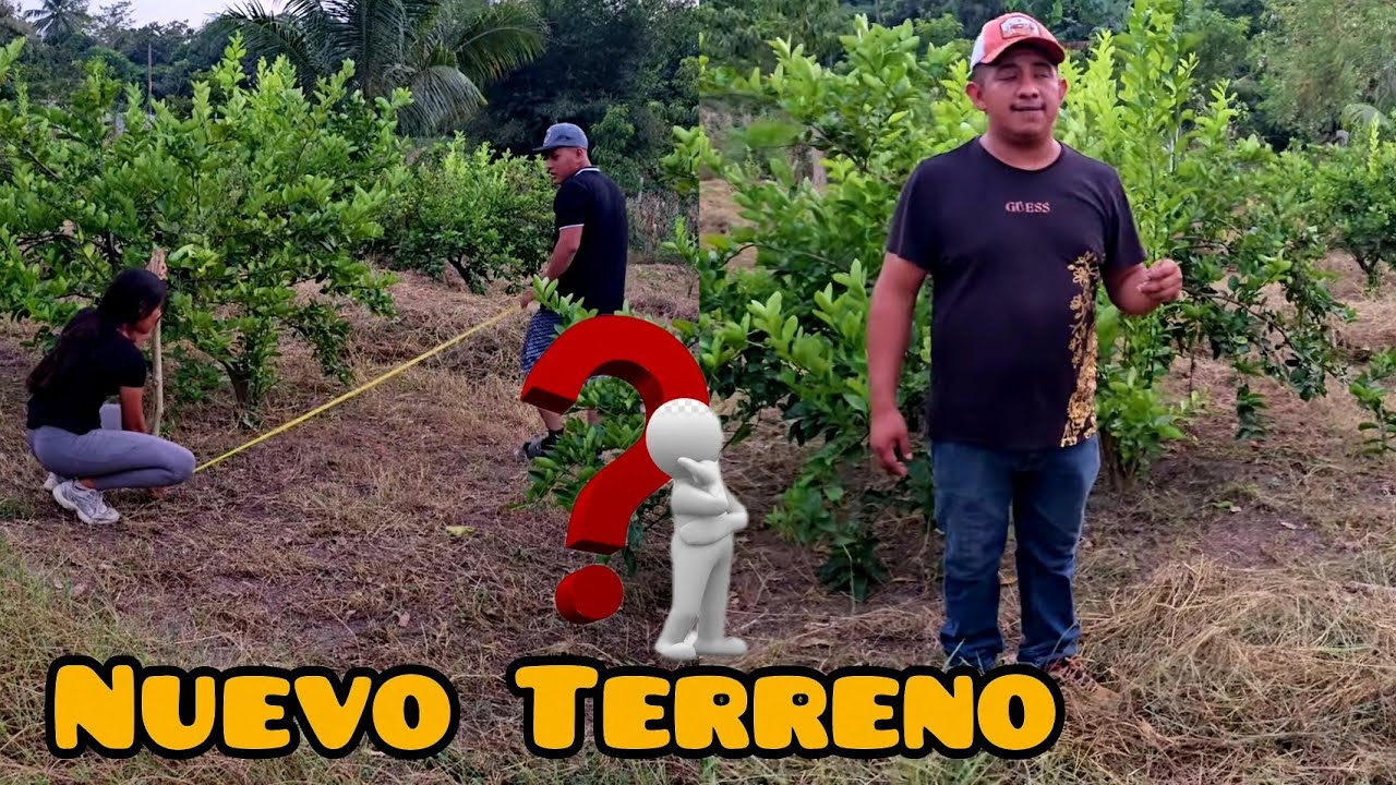 🔴Dayana y David Compraran un Terreno? VER PA' CREER🤯🤔