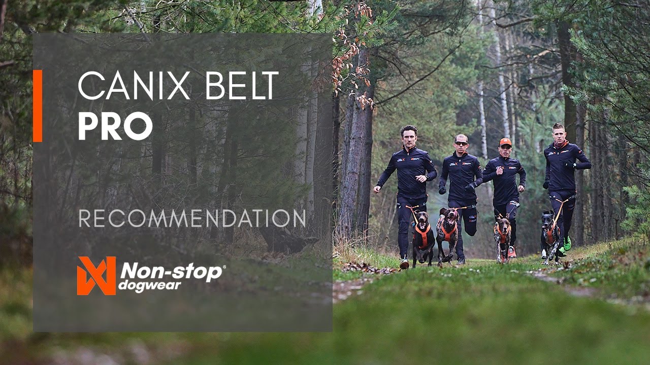 CaniX belt pro - our lightest belt ever!