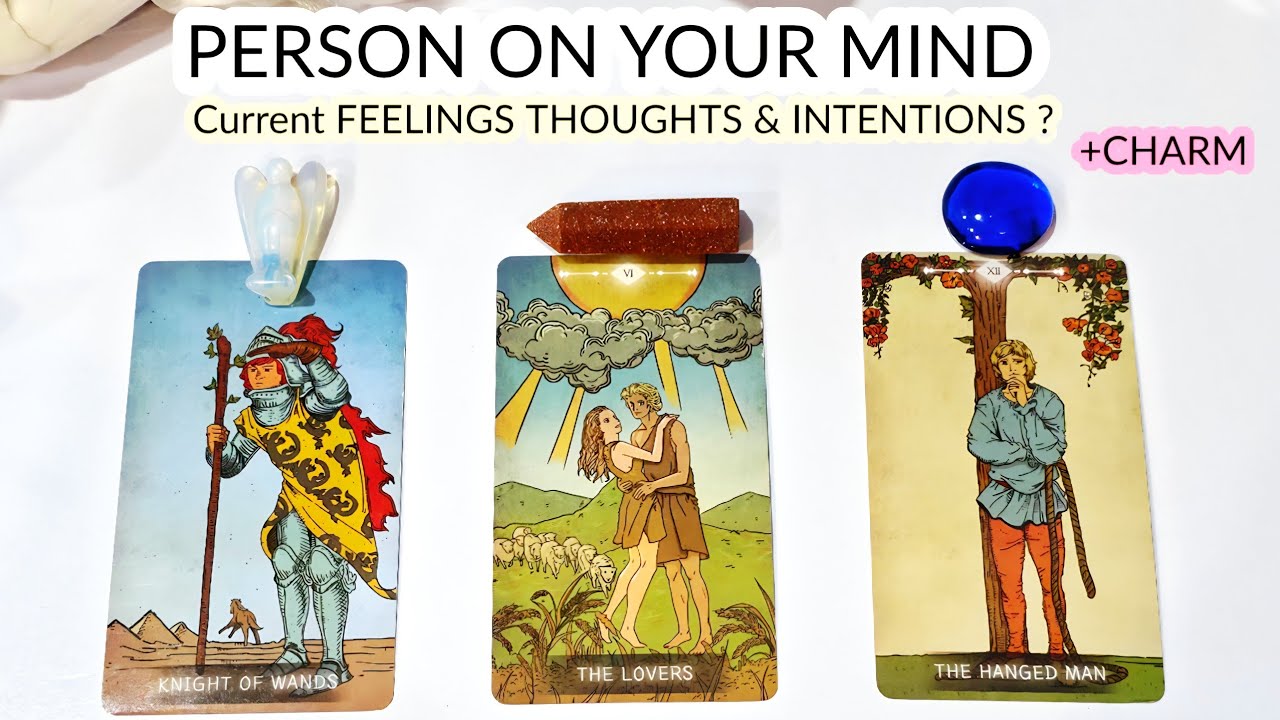 PICK•• YOUR PERSON 💗 THEIR CURRENT FEELINGS & INTENTIONS 🤔 WHAT'S NEXT || TIMELESS 