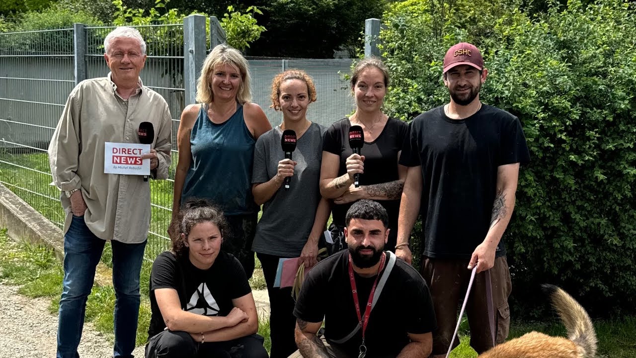 SPA Genève -  Chiens à adopter 26 juin 2024