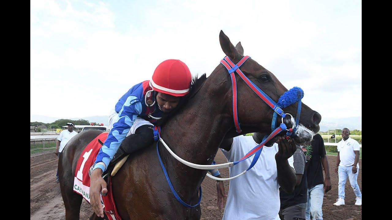 Relive Essential Quality’s Win In The 2023 Winston Griffiths Classic