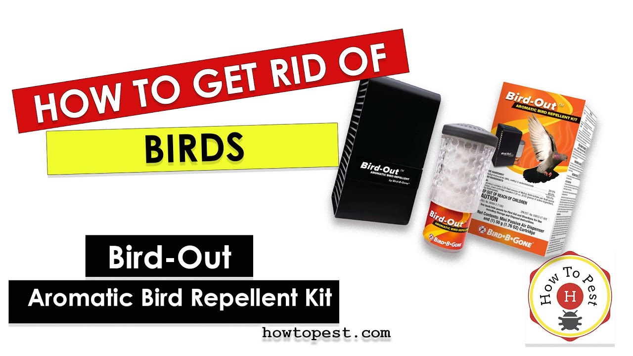 Как быстро избавиться от птиц | Отпугиватель птиц Bird-Out от Bird-B-Gone