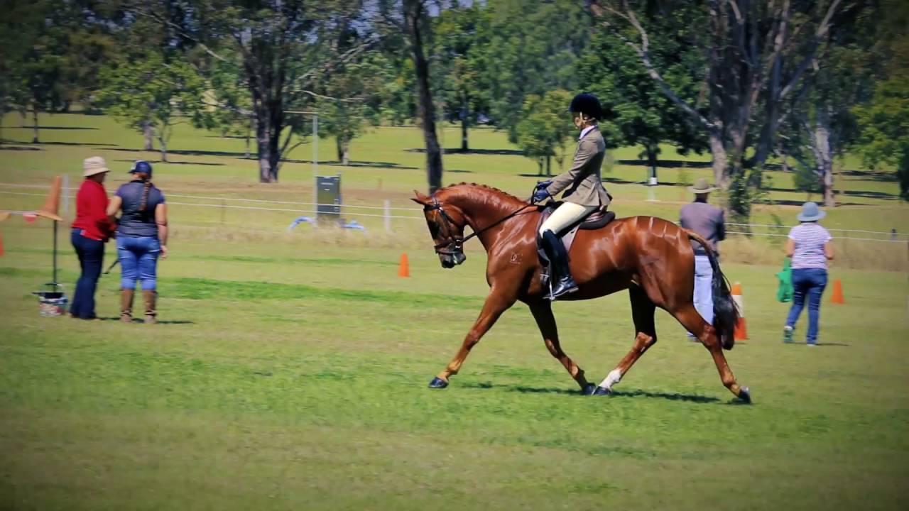 Beaudesert Show 2016