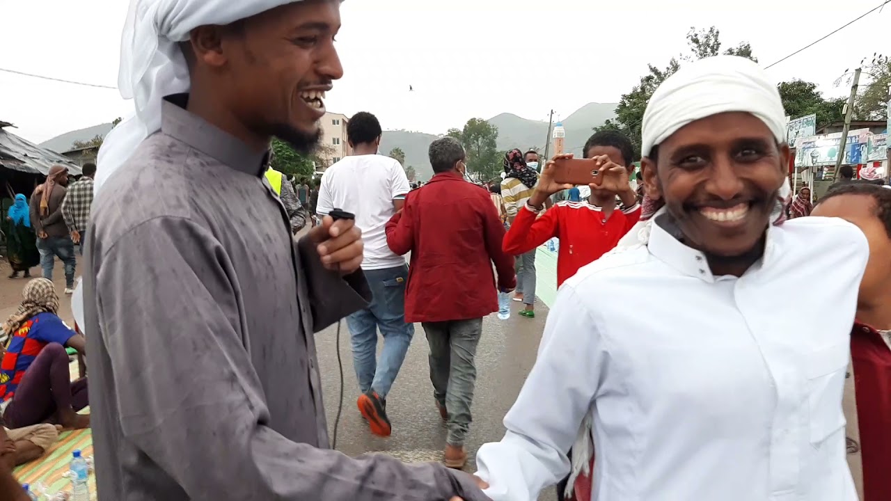 Sagantaa Ifxaara Karaarraa Walloo Magaalaa Kamiseetti