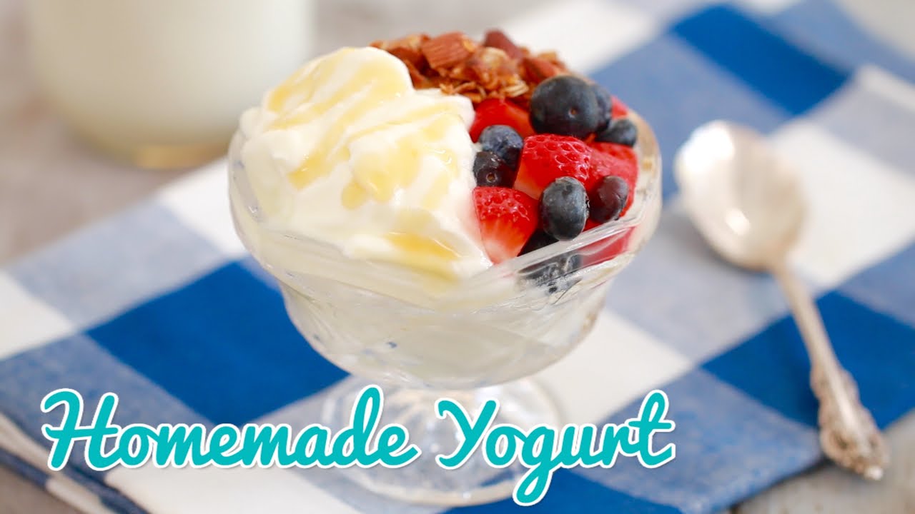 How to Make Yogurt - Gemma's Bold Baking Basics Ep 20