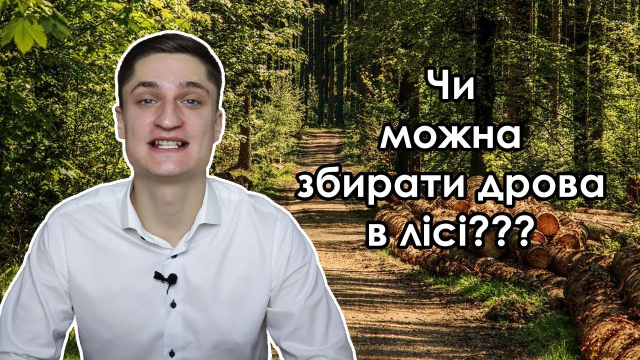 Чи можна збирати дрова в лісі? Який штраф?