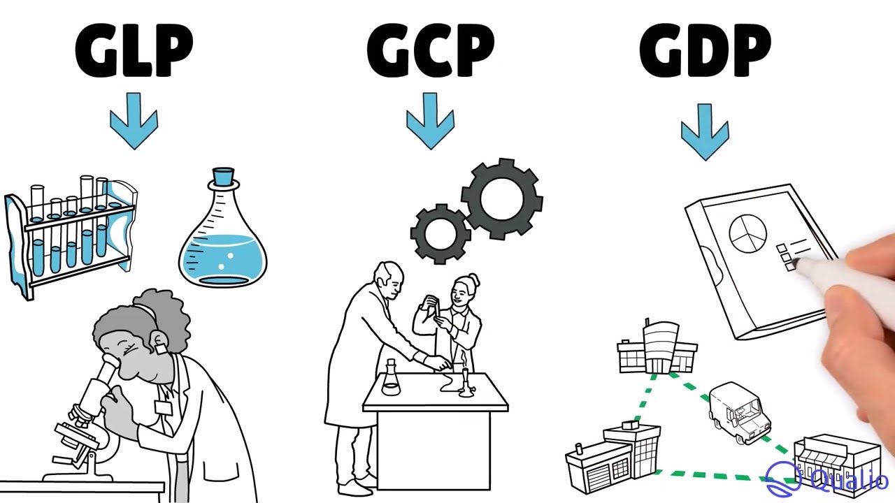What is GxP?