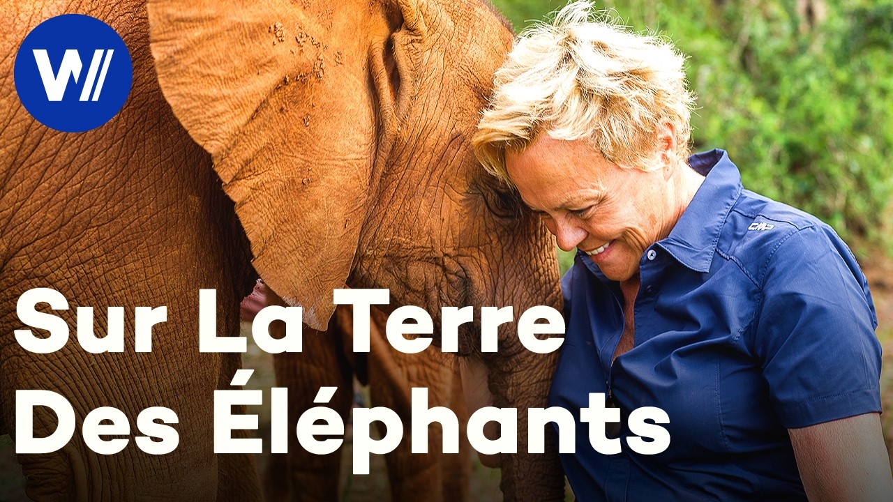 Muriel Robin sur la terre des éléphants (Documentaire Complet)