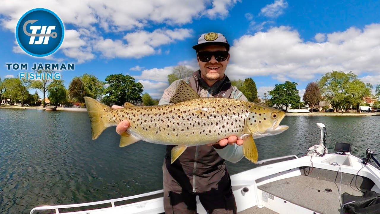 Catching Big Brown Trout Fly Fishing with a Dry and Nymph | Lake Wendouree