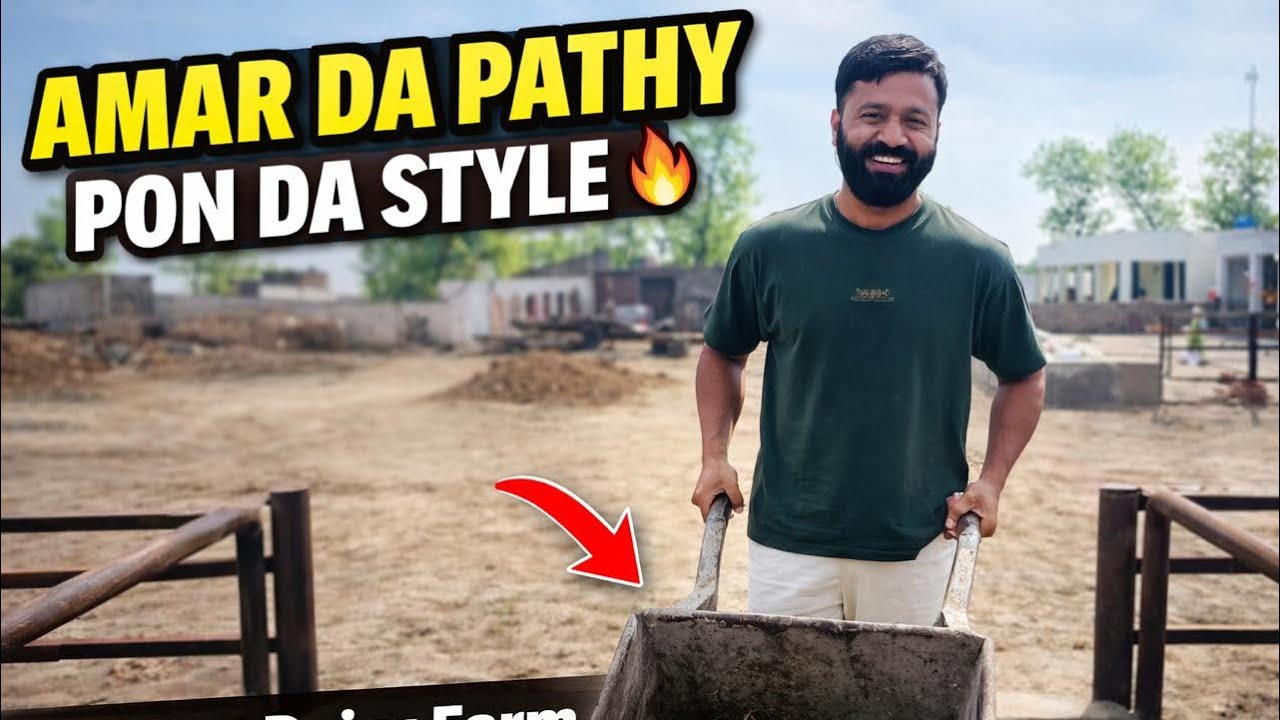 Amar da pathy pon da style/ Dhillon dairy farm 