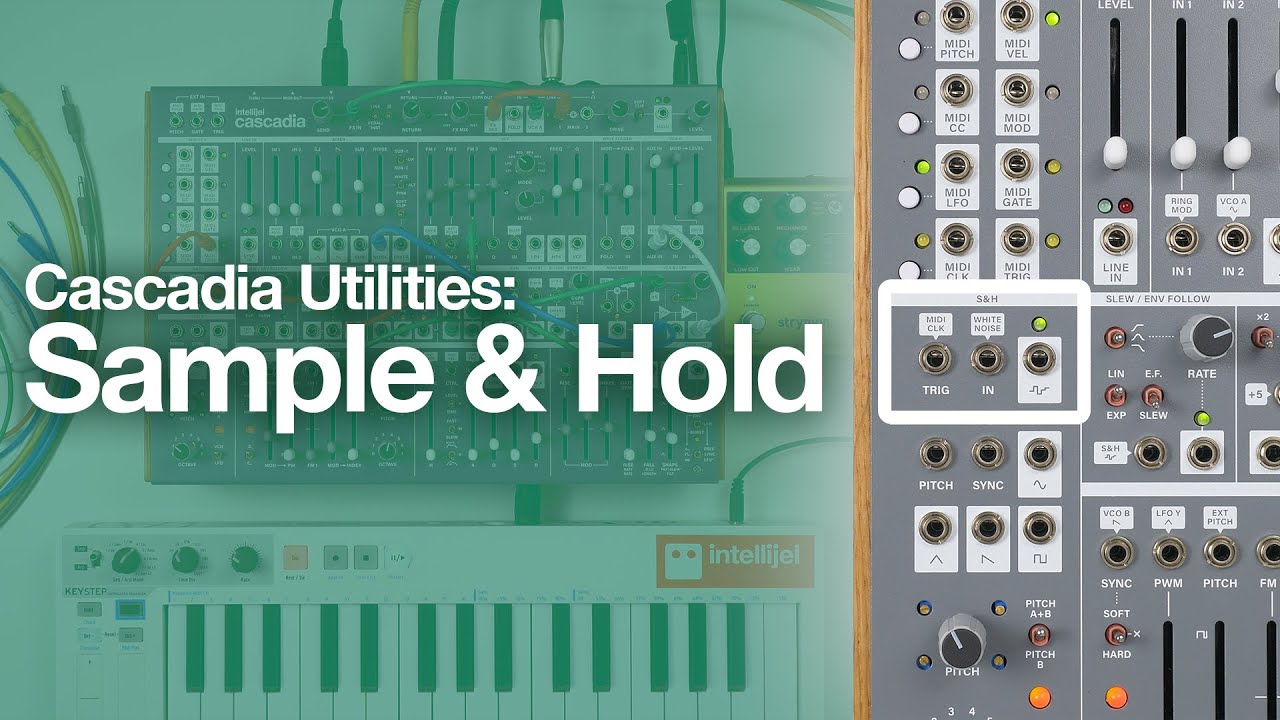Intellijel Cascadia Utilities: Sample & Hold