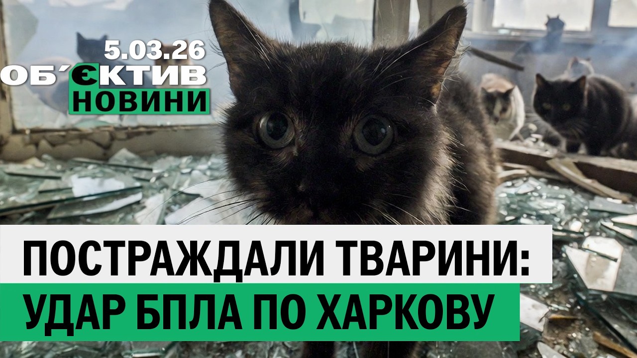 Безпілотник пошкодив Центр поводження з тваринами в Харкові – головні новини 5 березня