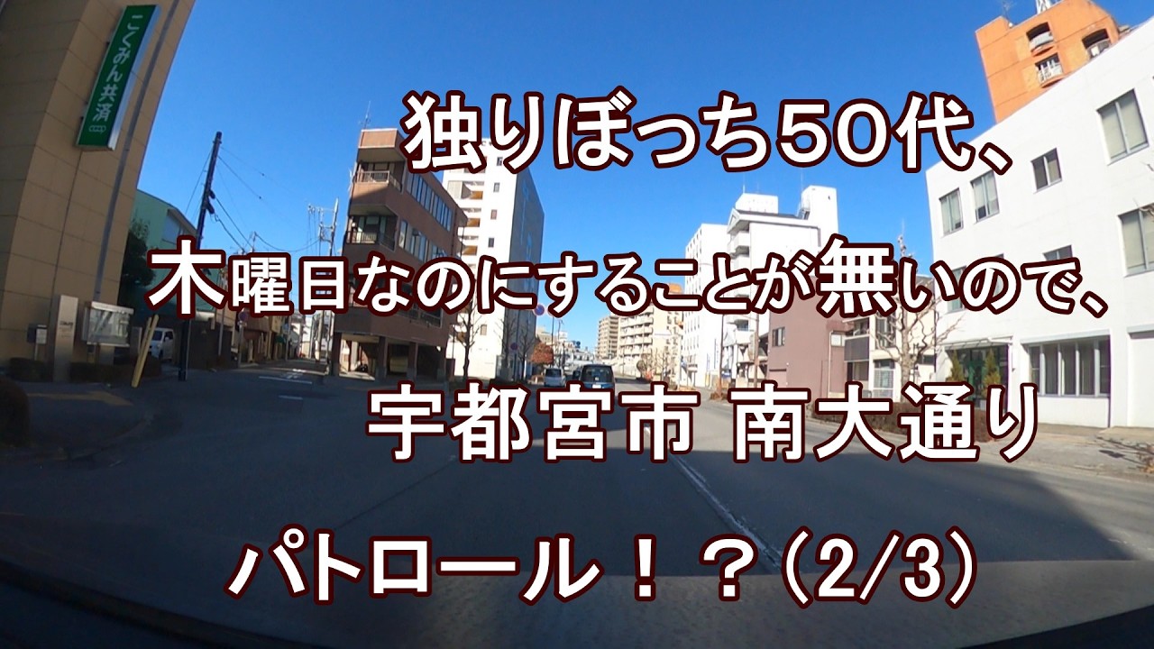 独りぼっち５０代、木曜日なのにすることが無いので、宇都宮市 南大通り パトロール！？（2/3）