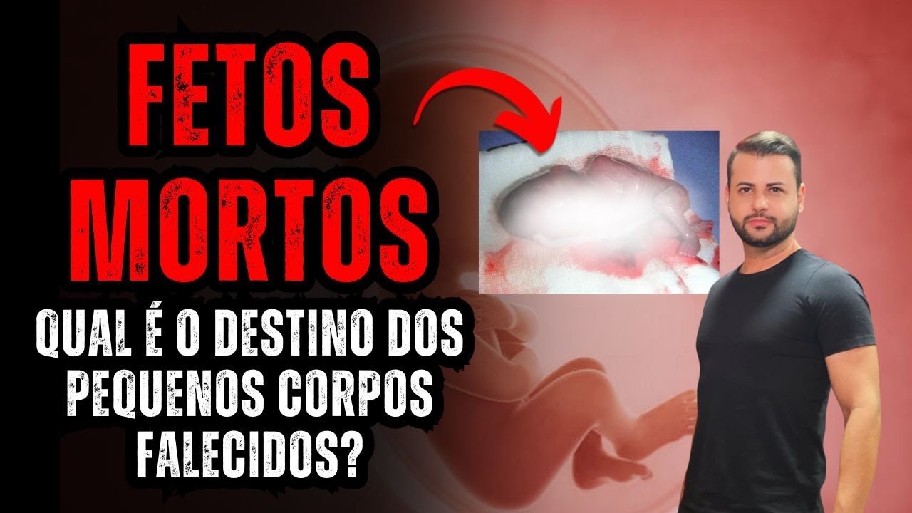 VERDADES IMPACTANTES: O QUE &Eacute; FEITO COM OS FETOS AP&Oacute;S A PERDA?