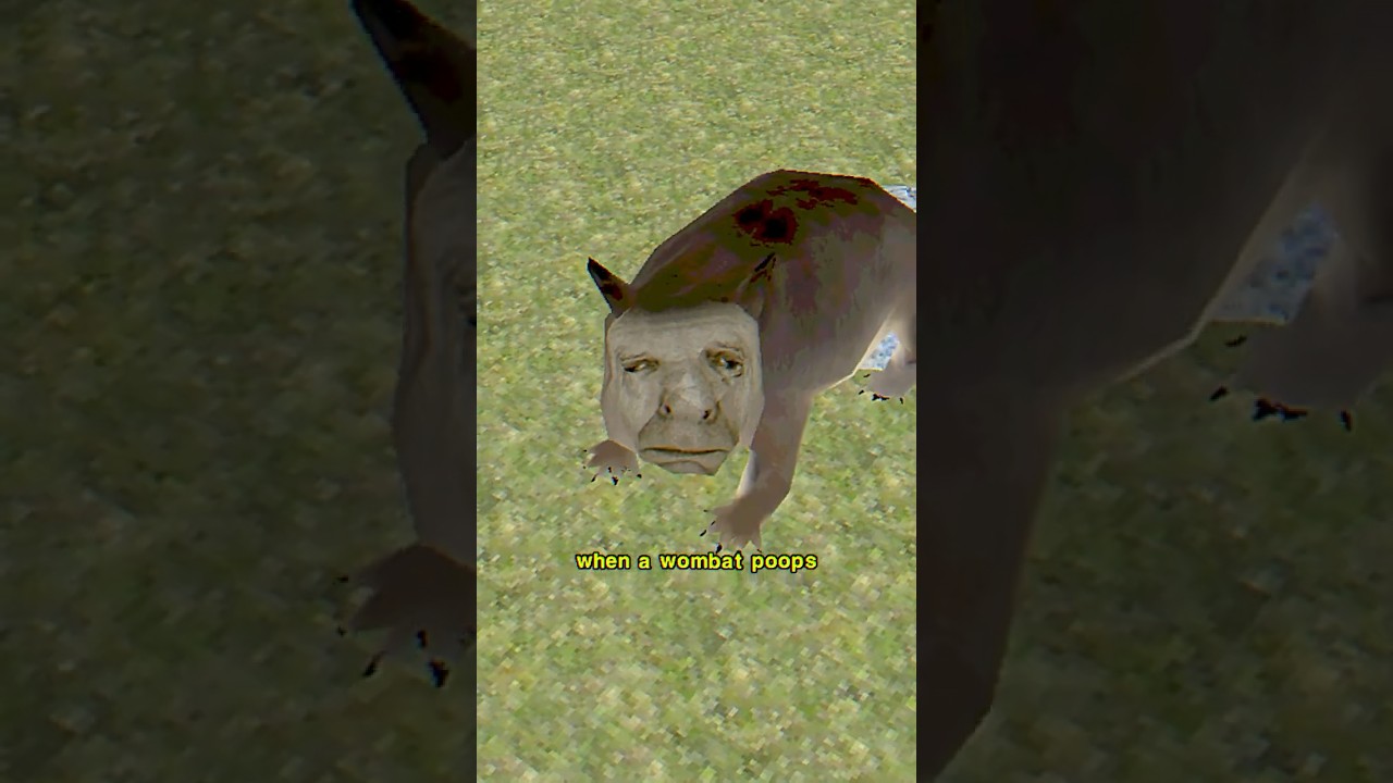 The Poop Cube