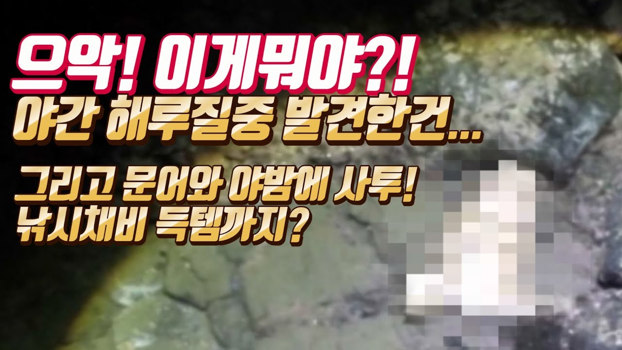 [암유발주의]해루질중 발견한 이상한물체! 그리고 문어와의 한밤의 사투! 낚시용품 득템까지! a battle against the sea octopus