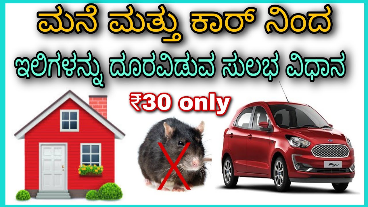 Rat control from home and car, Kannada.