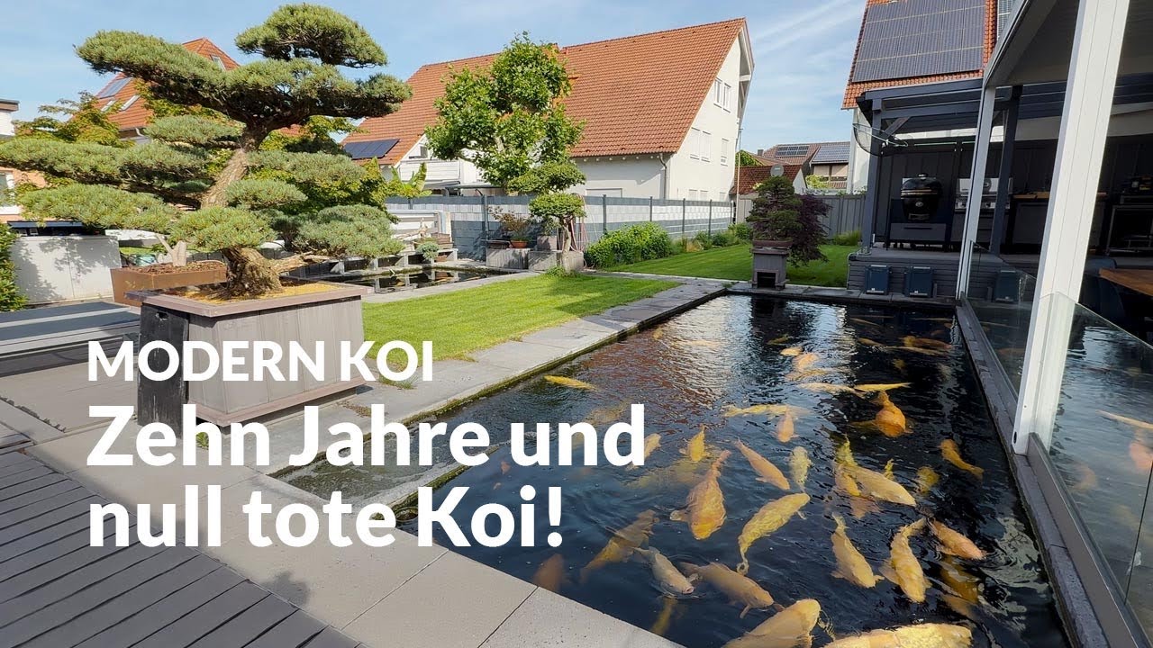 Oliver Roggisch Teich mit 35.000 Litern | Modern Koi Blog #7553