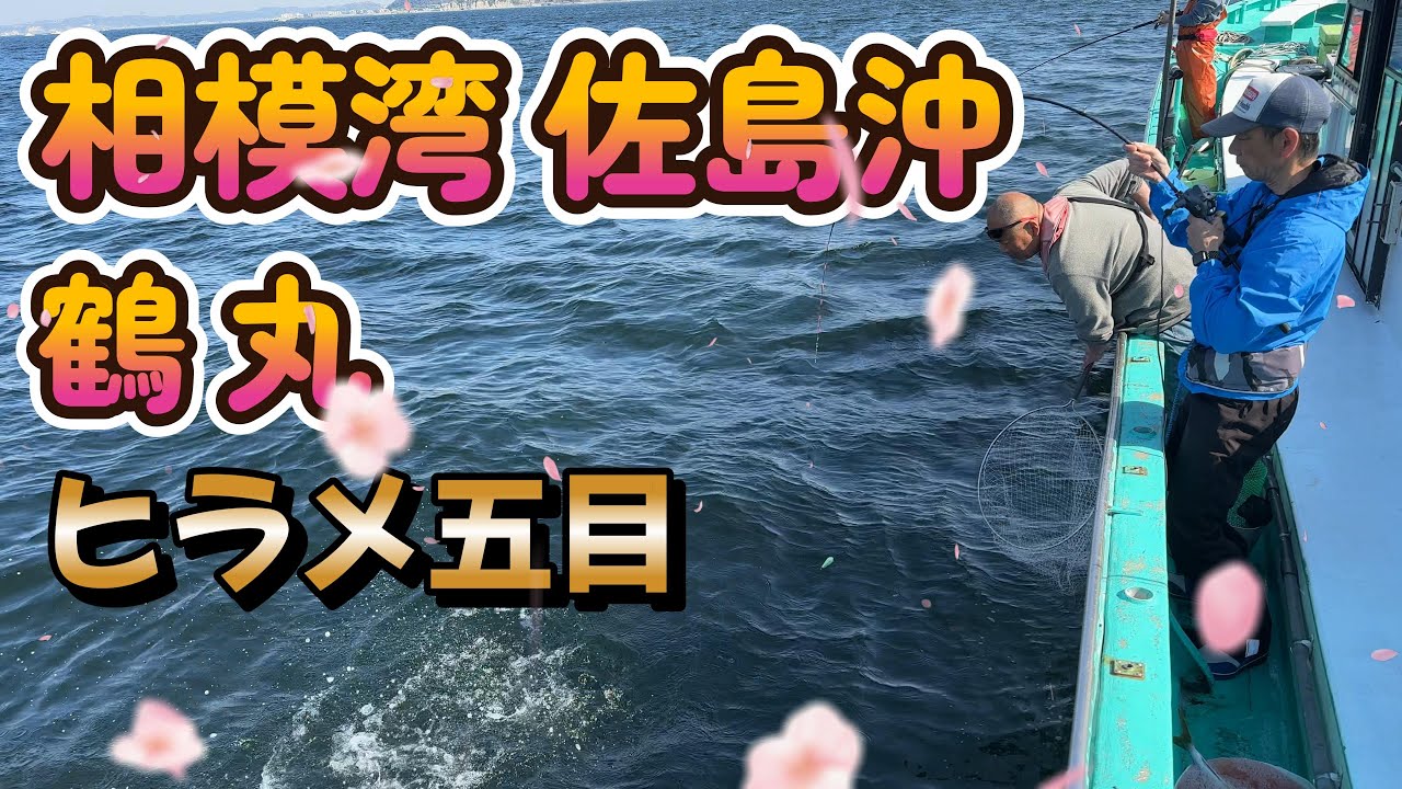 相模湾　イワシの泳がせで　ヒラメ & 青物 五目釣り  鶴丸