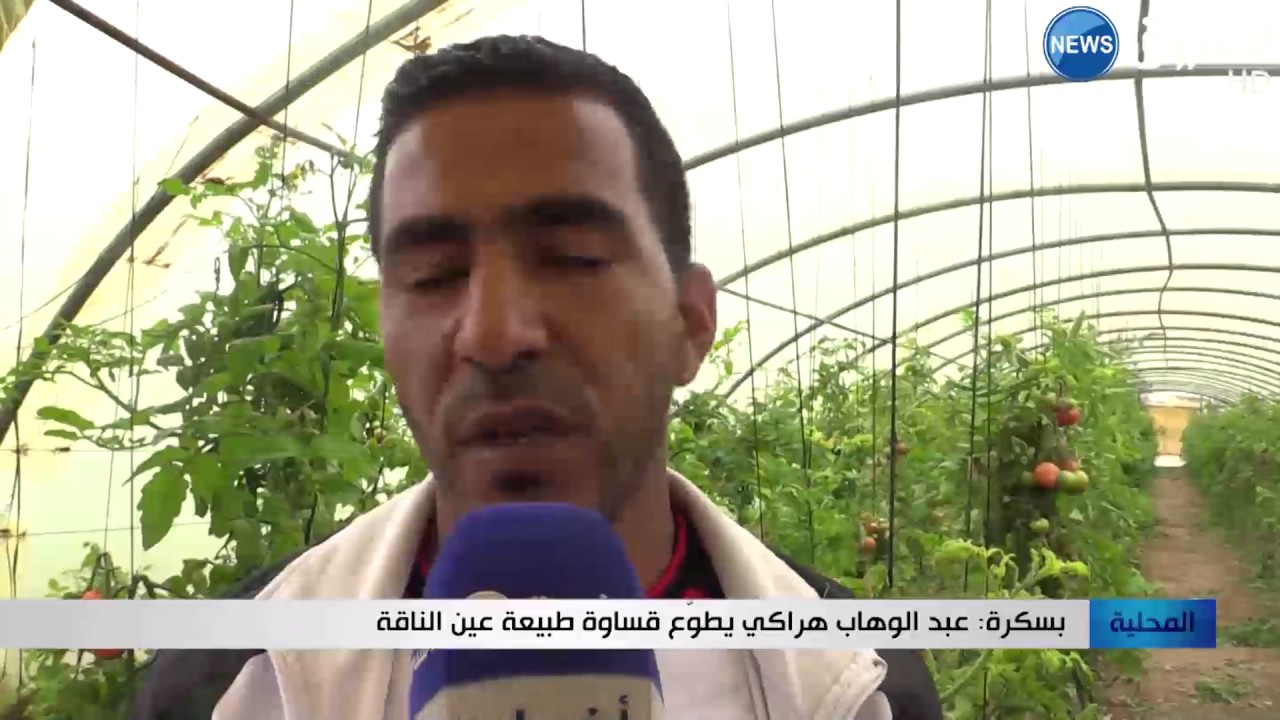 بسكرة: عبد الوهاب هراكي يطوع قساوة طبيعة عين الناقة