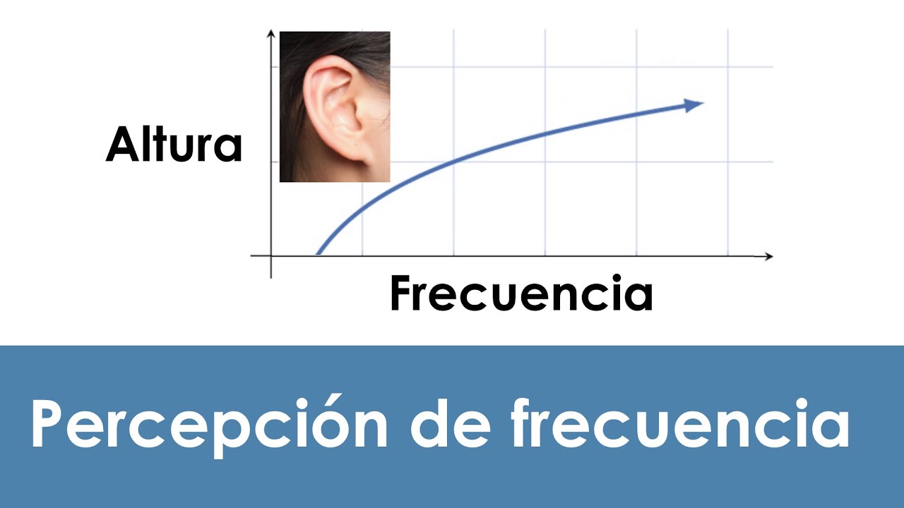 Percepción auditiva de frecuencias de sonido