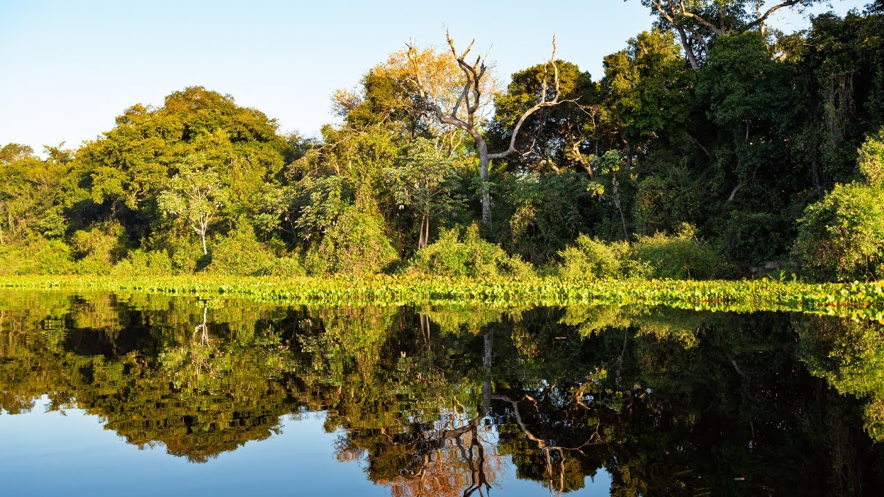 From Albany to Your Backyard: What NY’s Wetland Protection Laws Mean for You
