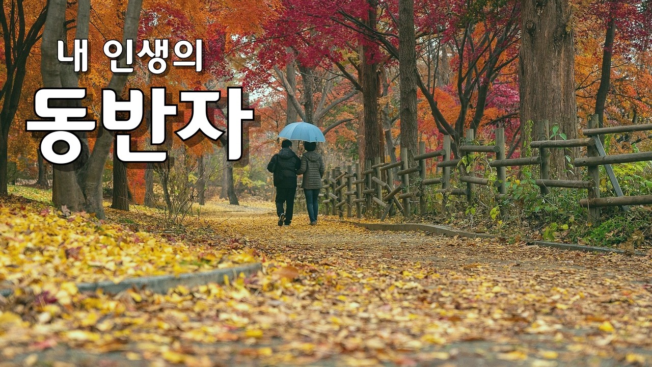 동반자 | 세월을 함께 걸어온 내 인생의 한 사람