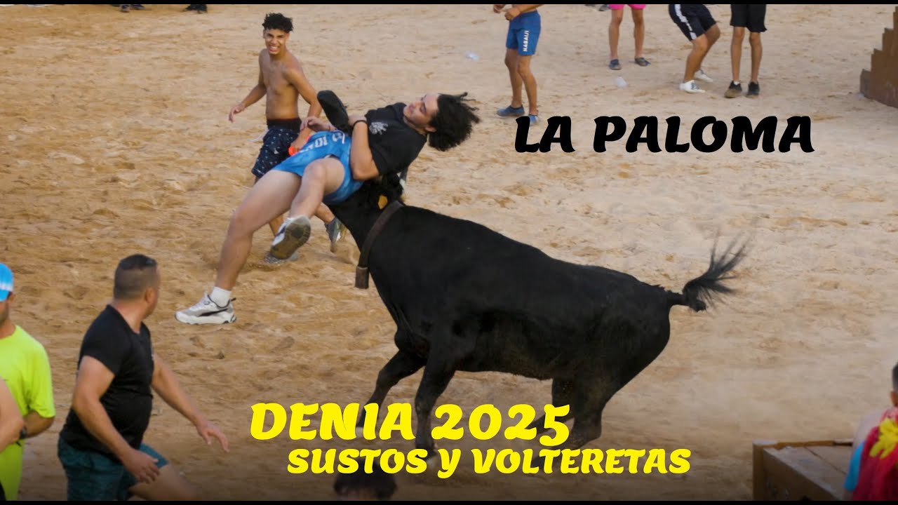 🚑🚨 DENIA 2025  - LAS DE LA PALOMA HACIENDO VOLAR AL PERSONAL🚀