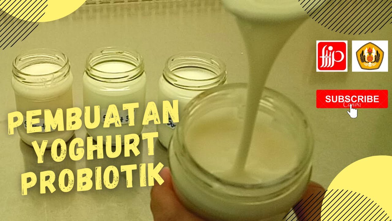 Pembuatan Yoghurt/Yoghurt Probiotik/Produk Fermentasi/Olahan Susu/Starter/Lactic acid bacteria