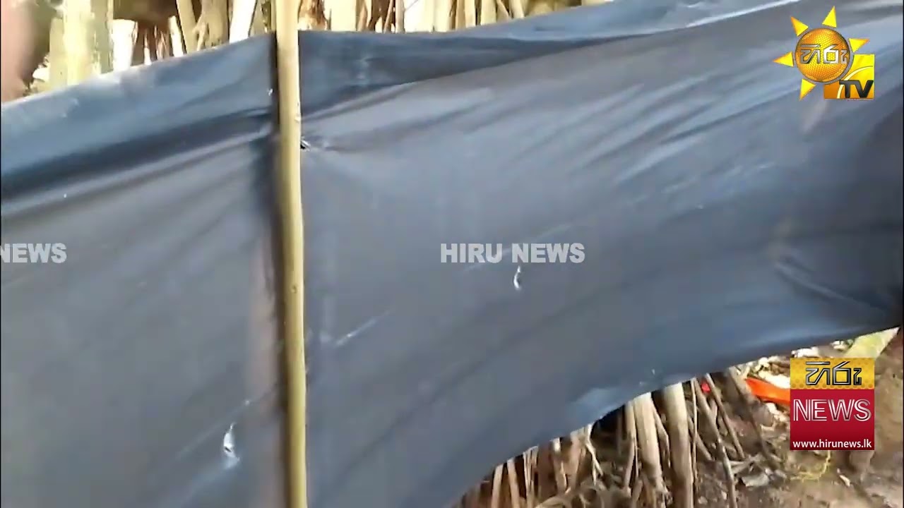 බෙන්තොට වෙරළ අයිනේ වැටකෙයියා පඳුරු මැද කරගෙන ගිය ස්පා එකක් වටලයි - Hiru News