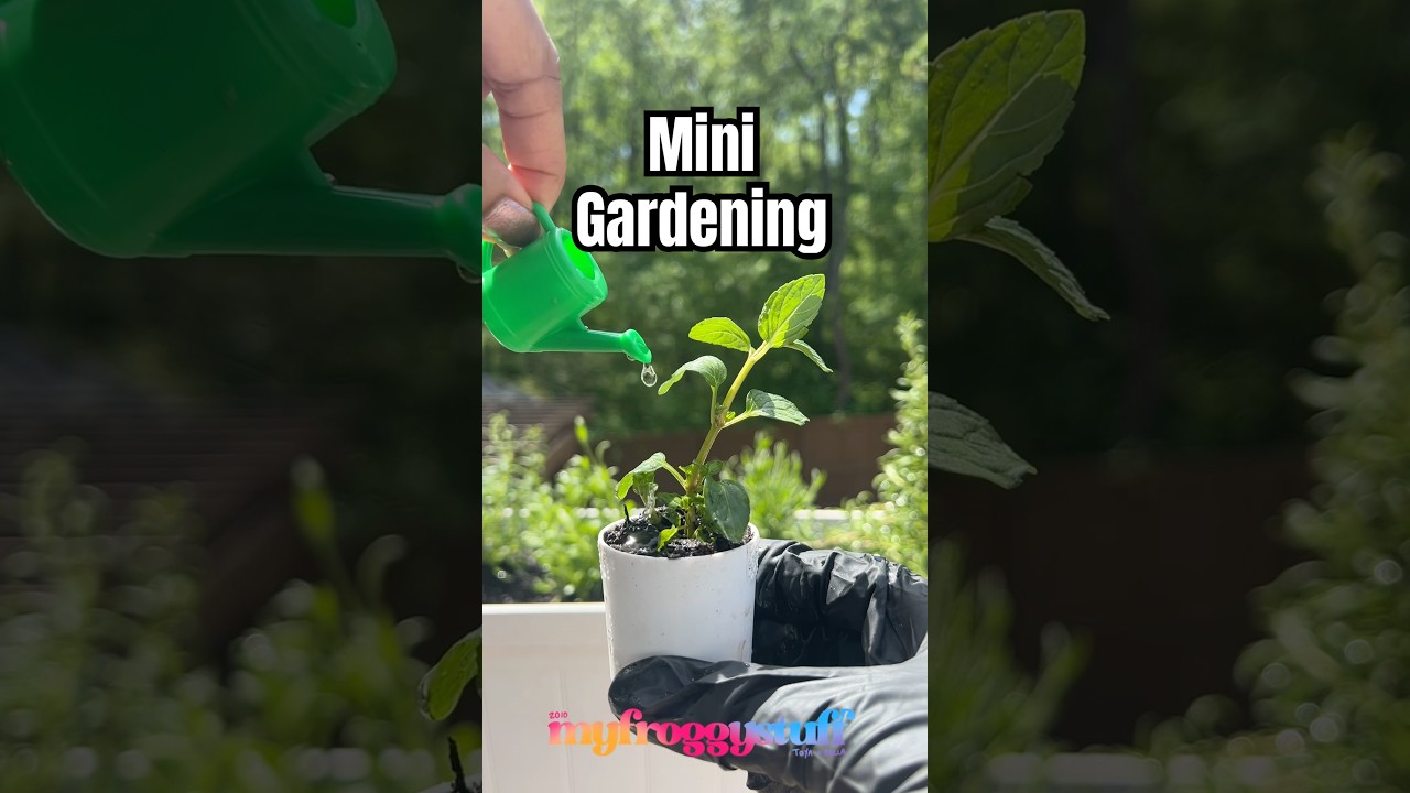 Miniature Gardening | Time to put those mini garden tools to work 🪴and see if they actually work