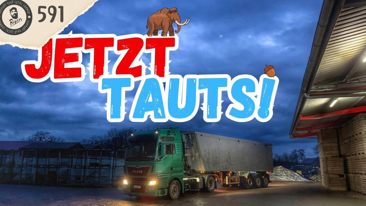 Jetzt TAUT es und Jens wäscht 🚿was das Holz hält! (VLOG 591)