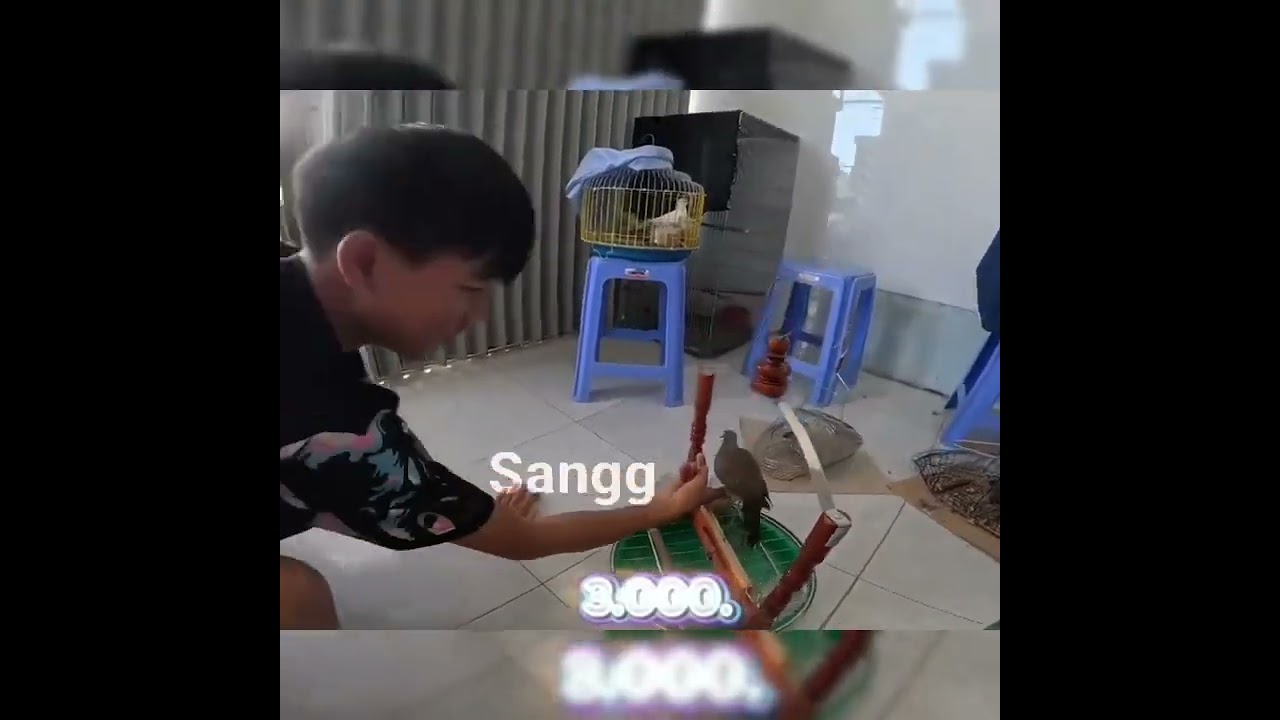 Đại gia ngầm của team | Anh Ba Phải