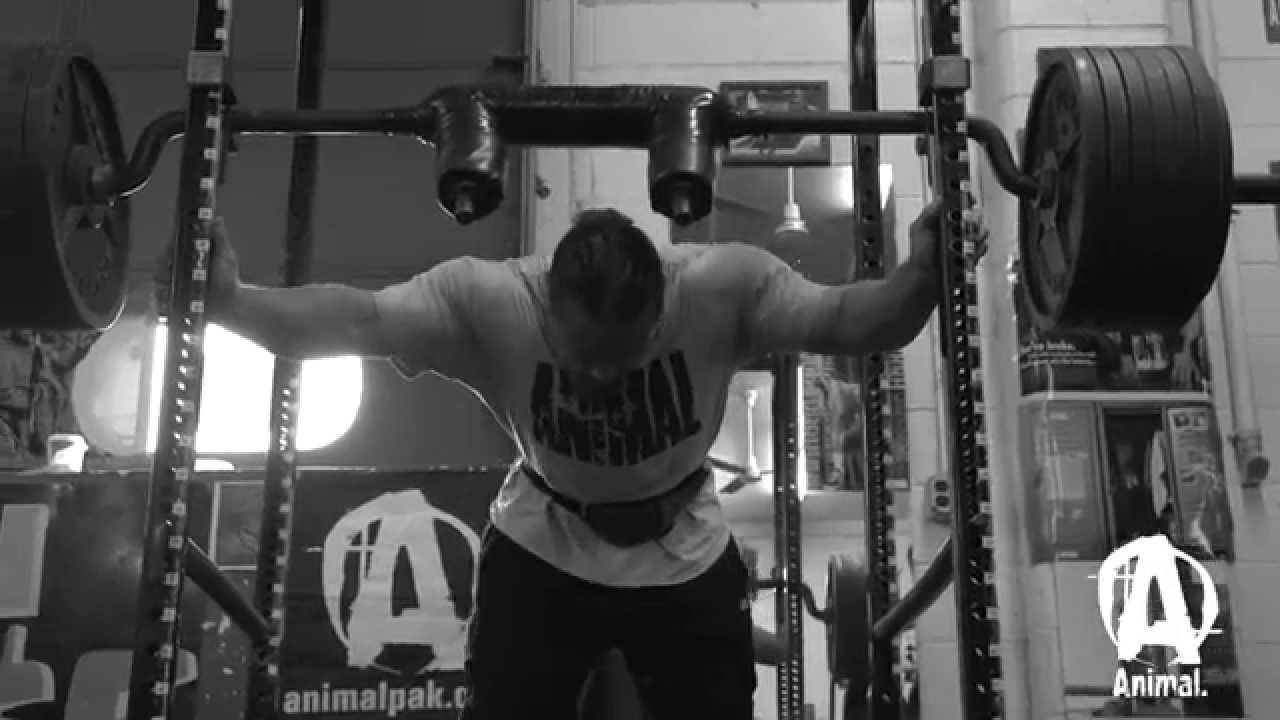 Animal Whey (Portuguese)