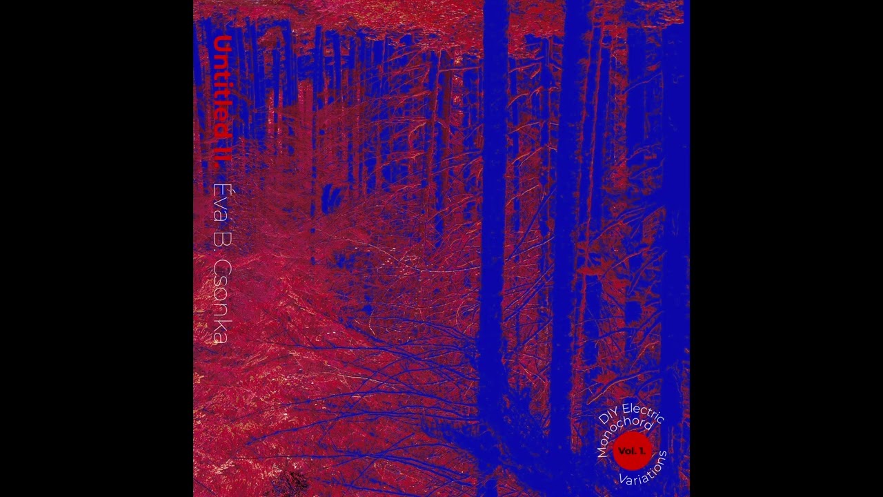 Untitled II. DIY Guitar Variations on Monochord Vol I.