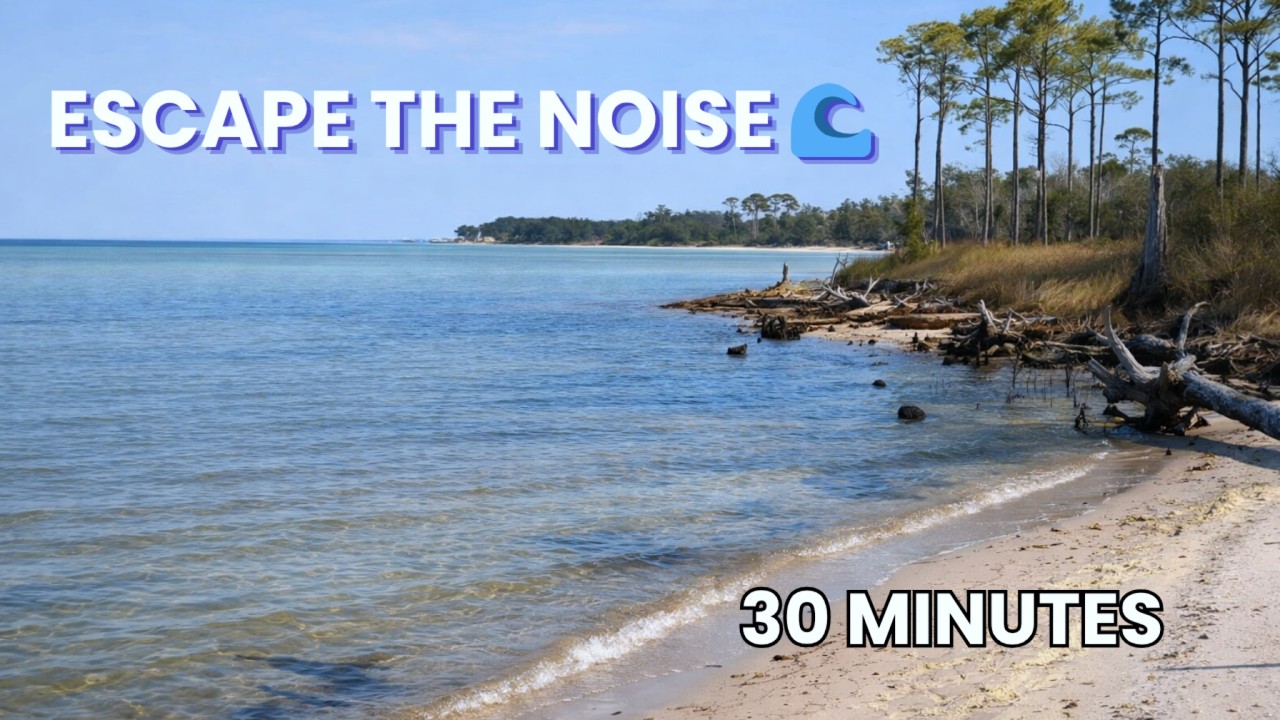 Quiet Florida Bay Shoreline | Gentle Water & Coastal Pines (30 Minutes)